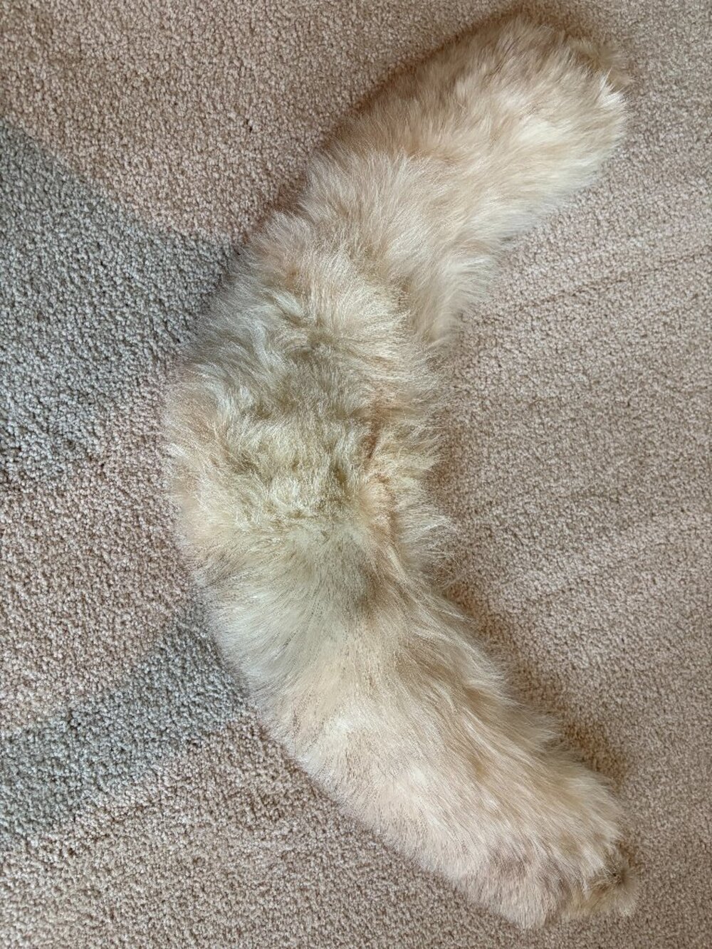 Fur Collar for coat (gray and white)